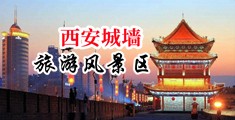 大鸡巴日逼l视频中国陕西-西安城墙旅游风景区