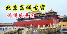 男女日屄啊啊啊网站中国北京-东城古宫旅游风景区