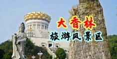 绿冒黑料社区叼嘿软件中国浙江-绍兴大香林旅游风景区